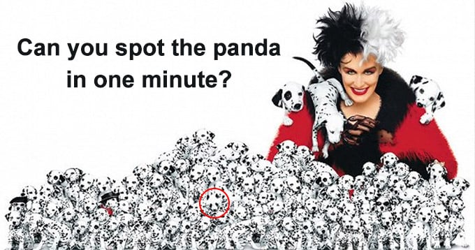 Only Geniuses Can Find The Panda!