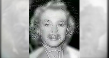 Albert Einstein or Marilyn Monroe?