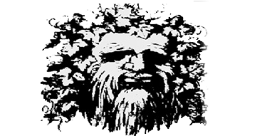 If you think it's a tree, then you are wrong!